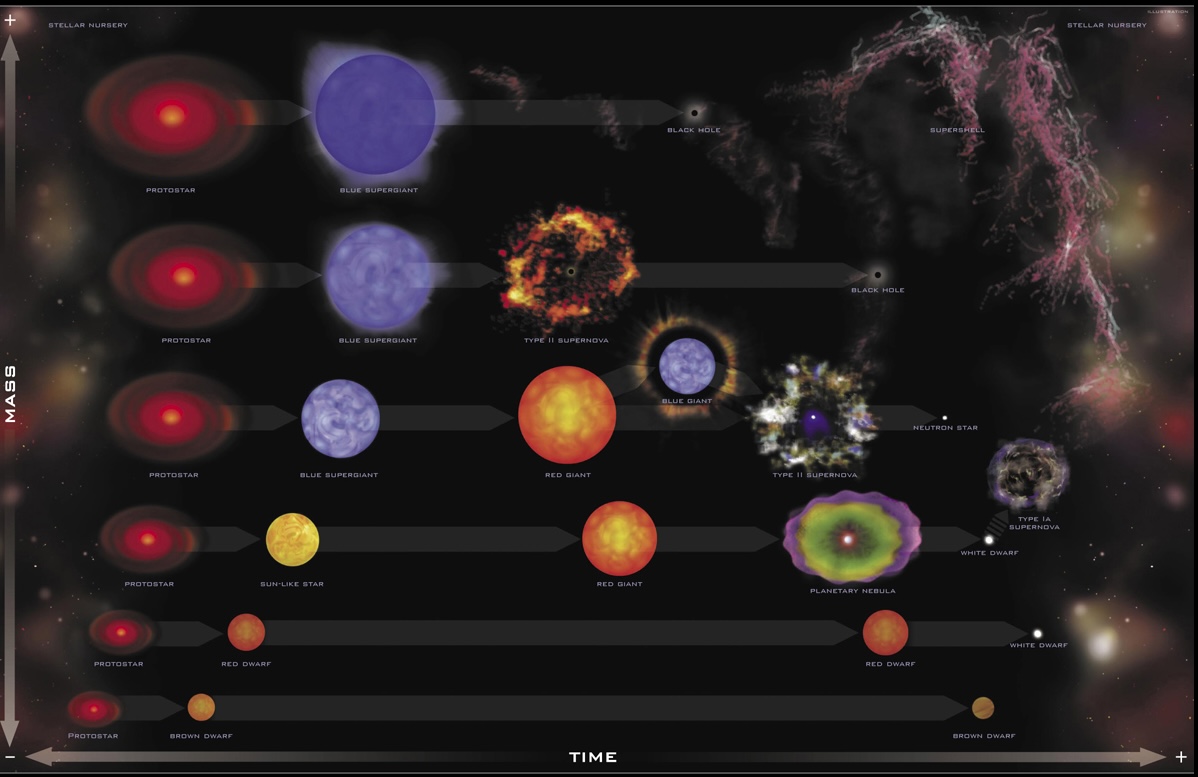 Chandra stellar evolution